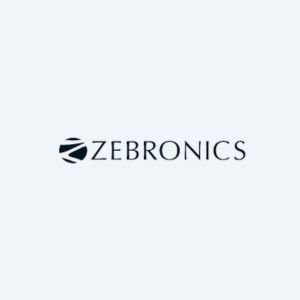 zebronics logo - corporate gifting